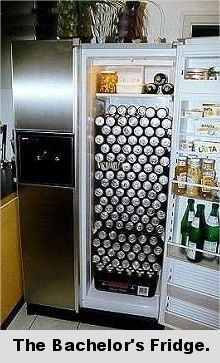bachelor fridge