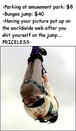 bungee poo